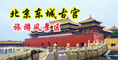 好多鸡巴操我骚逼,视频中国北京-东城古宫旅游风景区